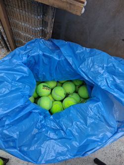 tennis balls for $20, chairs, t-ball, dog chase