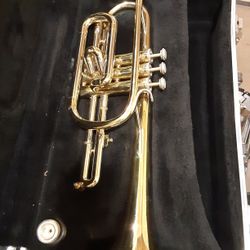  Trumpet For Sale Need Gone I Have 4 Of Them 