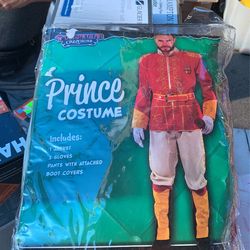 Price Costume For Adult