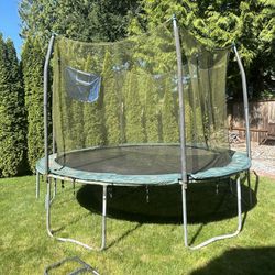 Fill Size Trampoline Outdoor Mat 10’ With Ladder *** Disassembled*** 