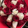 Jay R