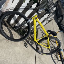Big Ripper 29 (cash Only) ($650) 