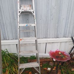 two ladders of 6 and 8 feet 50 by both 