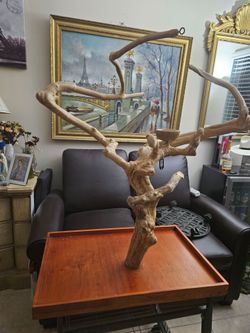 bird parrot stand