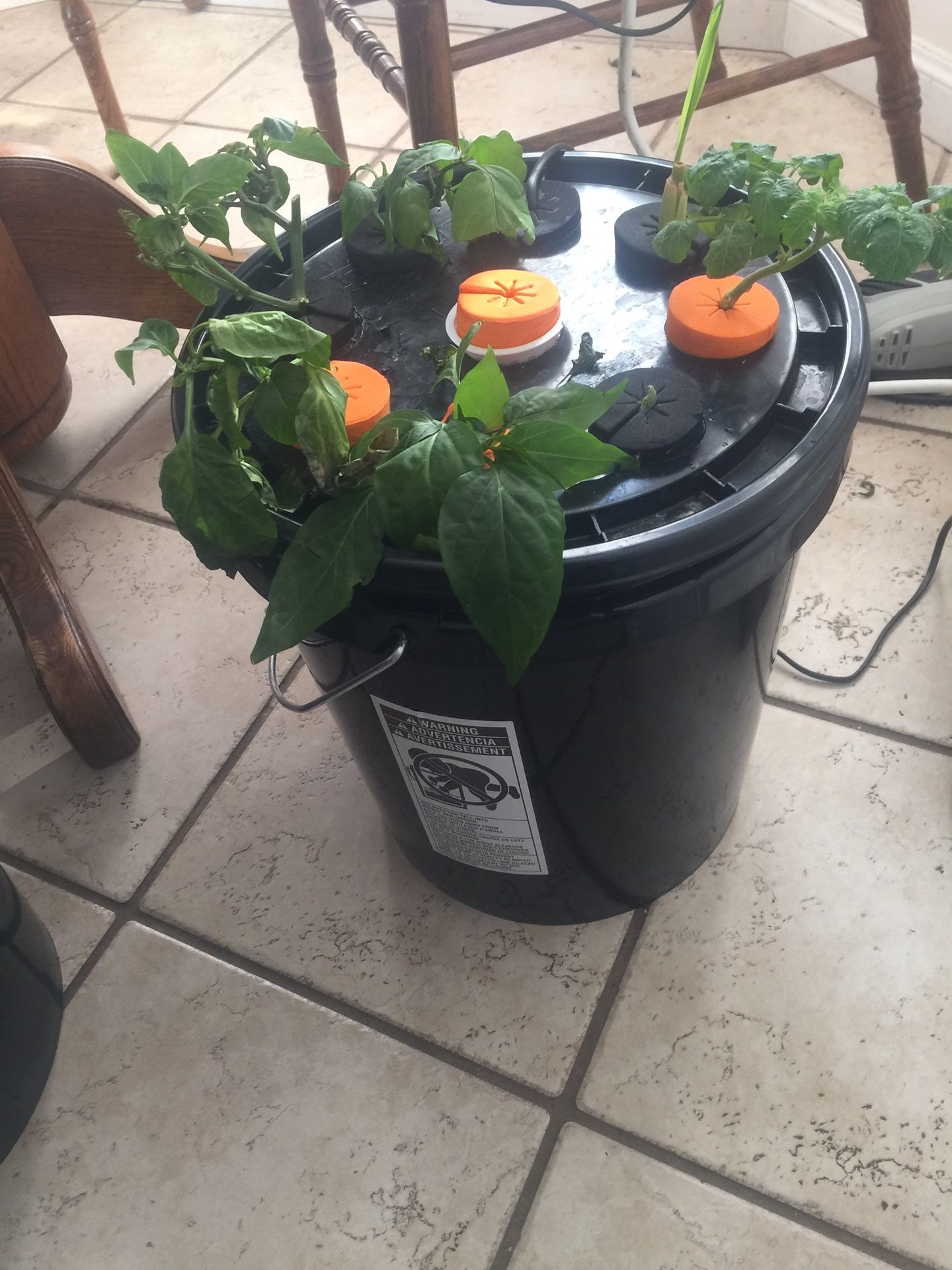 9 Site Cloner/Grower System
