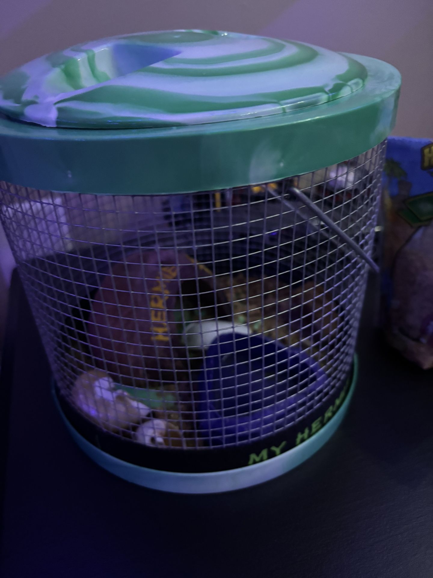 Hermit Crab And Cage - FREE
