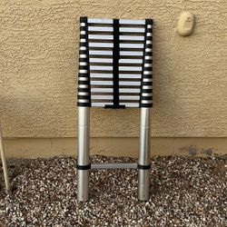 Telescoping Ladder - 14 ft. Reach, Type I, 250 lb. Portable Telescoping Ladder