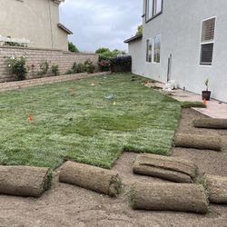 ///:SOD////INSTALL///SPRINKLERS////