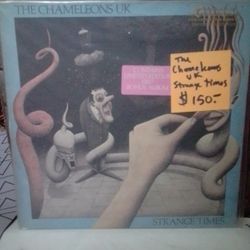 Chameleons Sun And The Moon