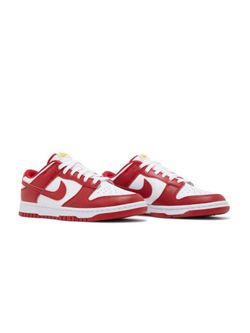 Nike Gym Red Dunks