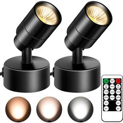 2 Pack Dimmable Spot Lights Indoor with Timer and Remote, 
