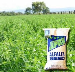 100 LBS Certified Organic Pasture Mix + Creeping Alfalfa Seed – Welter Seed – 2×50 LB Bags