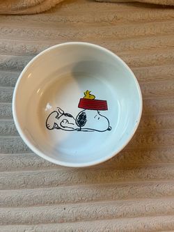 Snoopy Dog bowl
