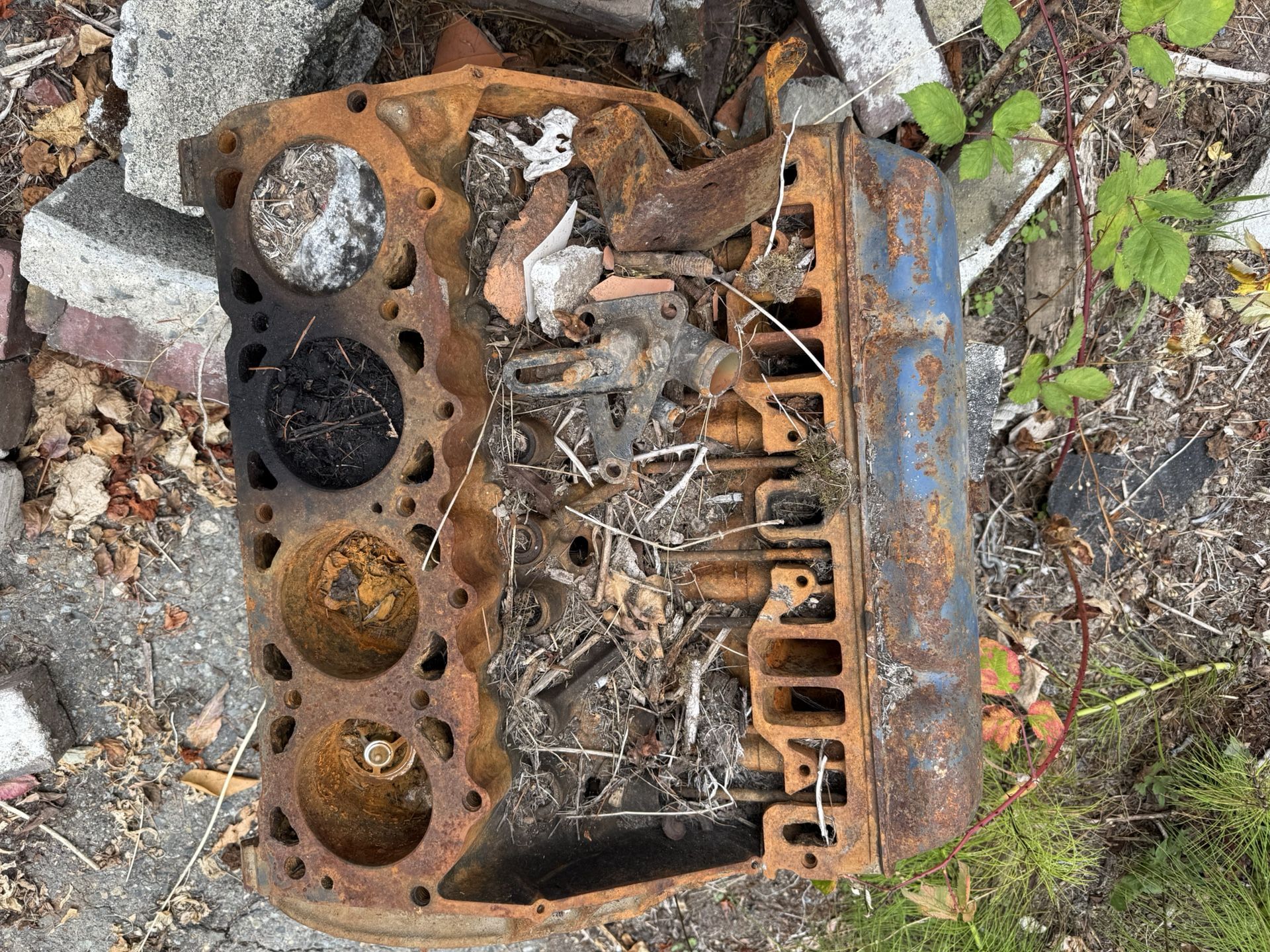 Free Engine Block