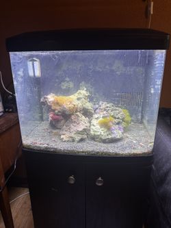 30 Biocube & Stand AIO - Saltwater