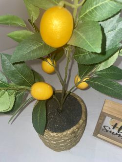 Potted artificial lemon tree, And hello sunshine home decor frame
