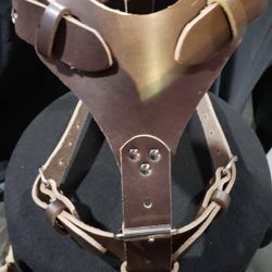 Brown Dog Harness