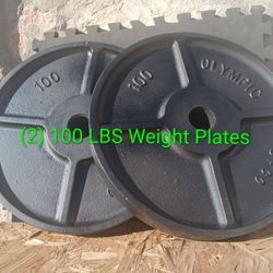 PAIR of 100 LBS Weight Plates