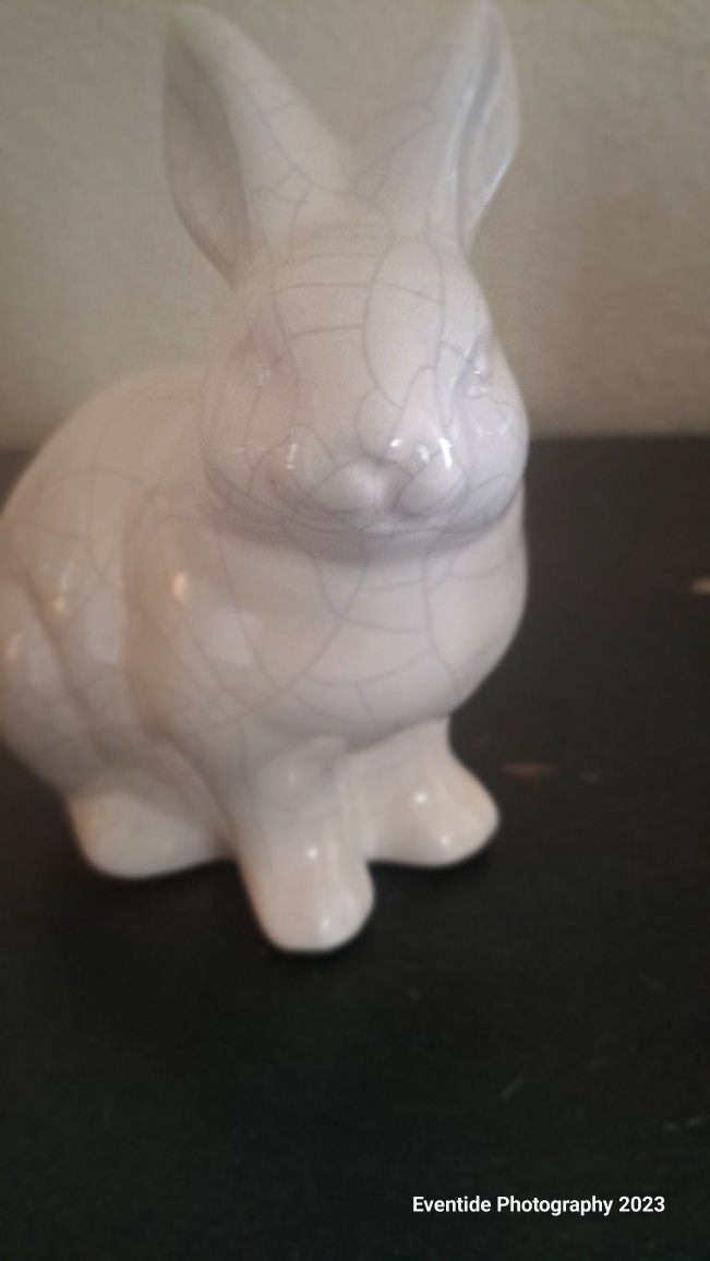 White Rabbit