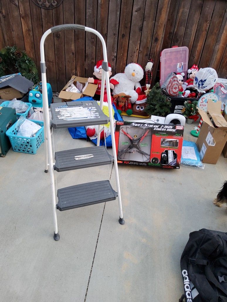 Costco Ladder
