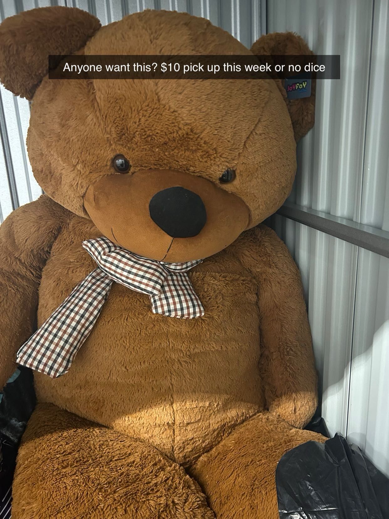 Giant Stuffed Animal Bear