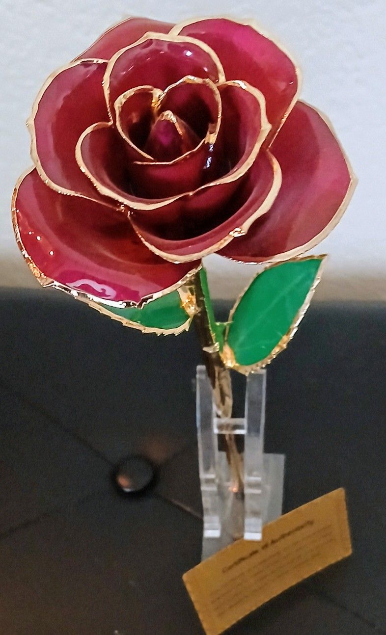 Gold Dipped Infinity Rose - Eternal Resin-Preserved Rose