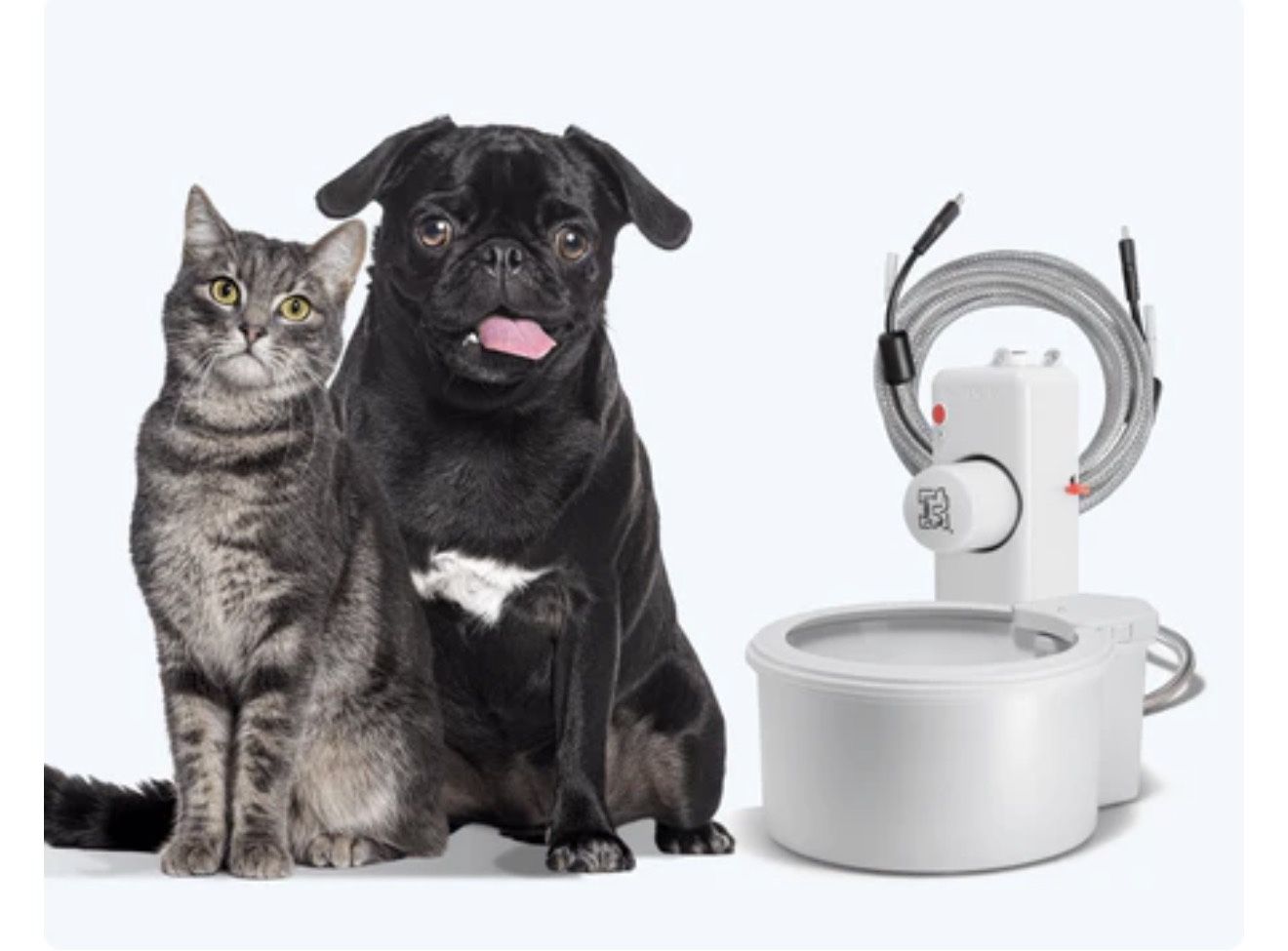 Always Full® 7" Pet Water Bowl and Bottle Pump Bundle