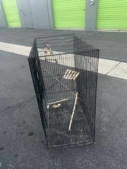 Bird Cage