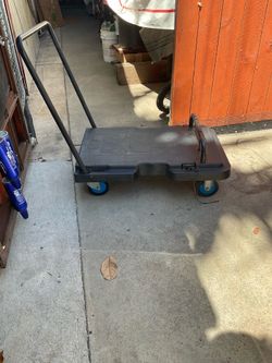 Platform Cart
