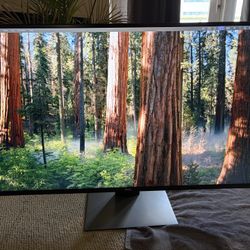 Dell UltraSharp U4320Q 43" 4K Monitor – $400 San Diego (92101)