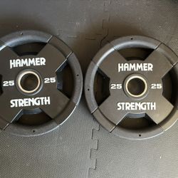 25lb. Weight Plates