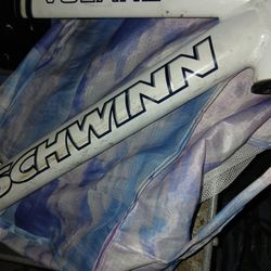 Schwinn Voltare Frame And Forks