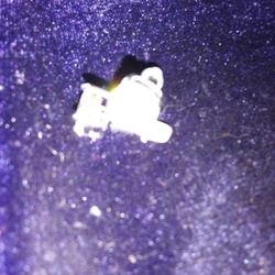 Fashionable Earrings