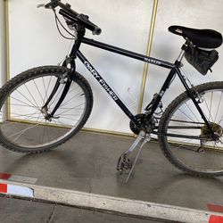 Gary Fisher Marlin bike