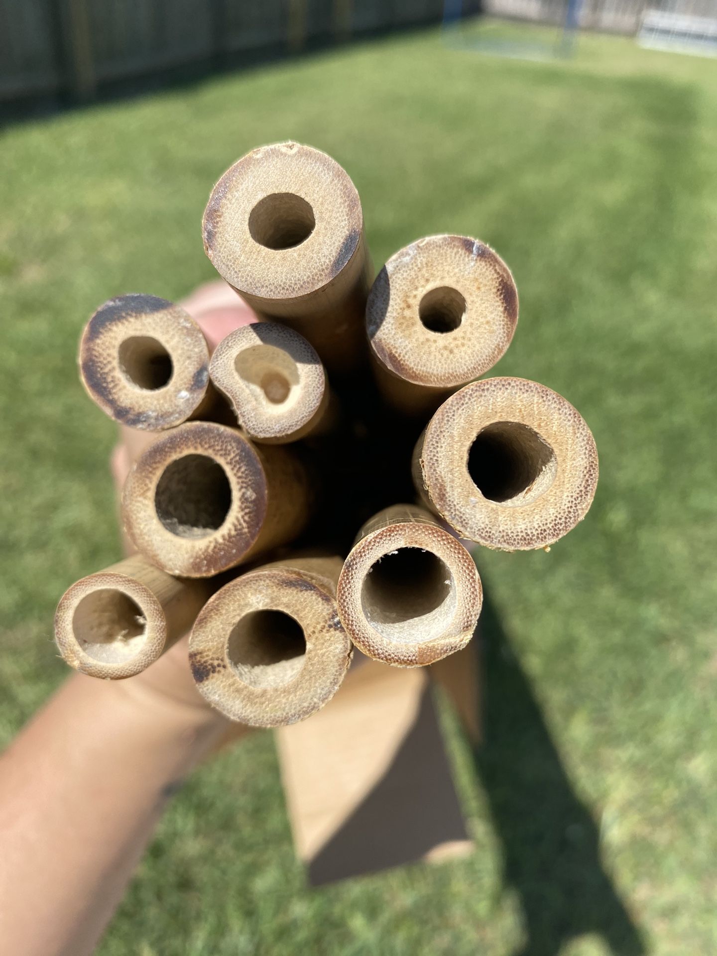 Bamboo 6 Foot Poles