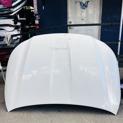 Toyota Highlander 2020-2024 hood Oem