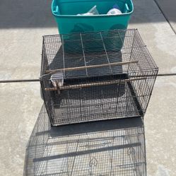 Bird Cage And Bird Items 