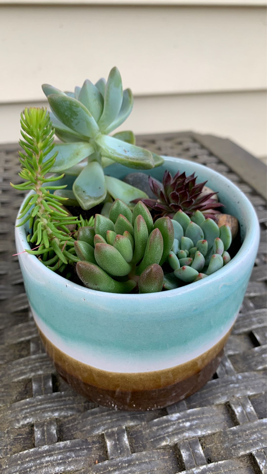 Unique, handmade ceramic pot beach colors with succulents