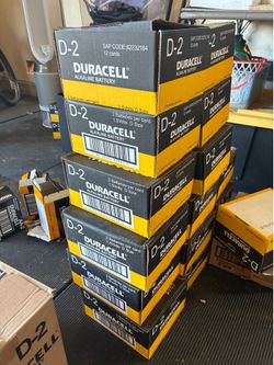 D-2 Duracell Alkaline Batteries