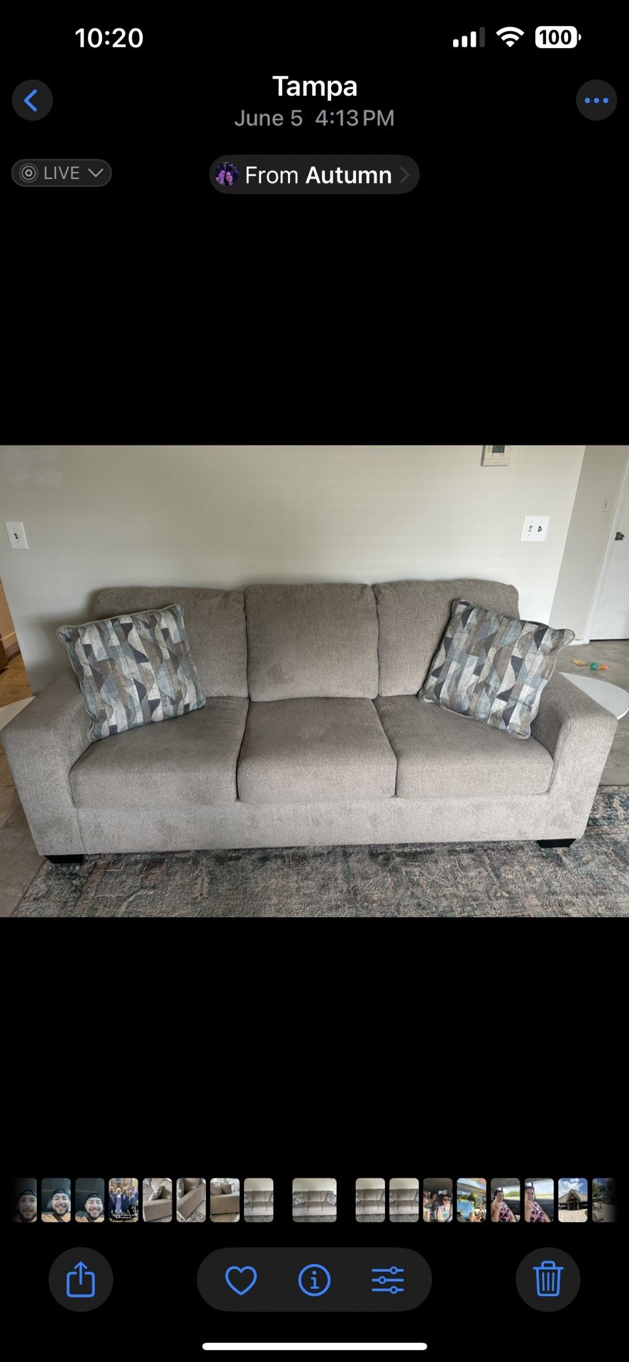 Gray Ashley Furniture Sofa