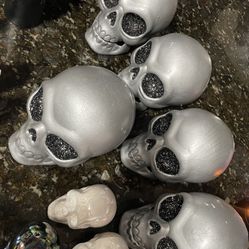 Skeleton
