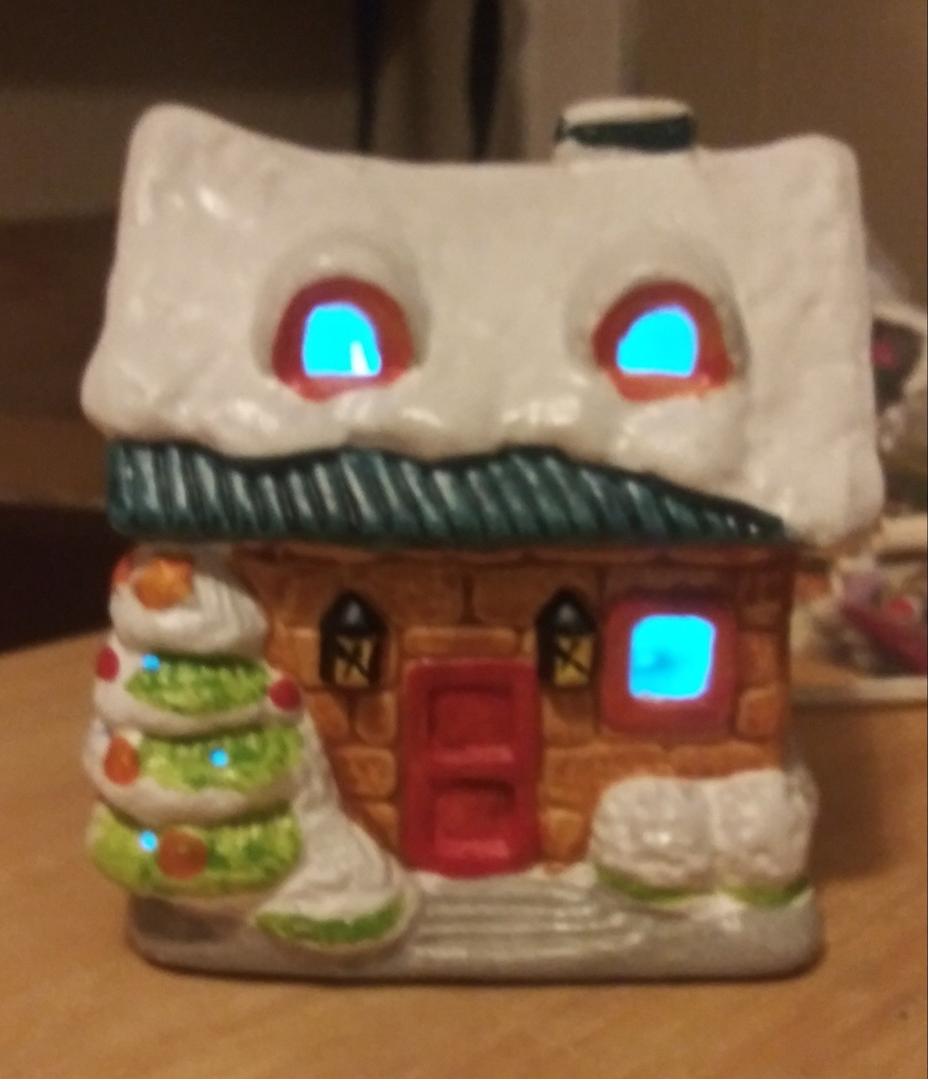 Light up christmas house & other decorations