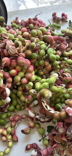 Guamuchiles