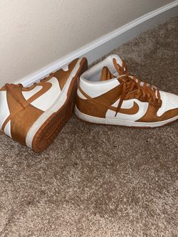 Nike Dunk (Special Edition) Sz 14 Men’s 