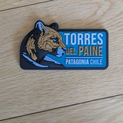 Torres Del Paine, Patagonia, Chile Fridge Magnet. 3x1.5" Puma Authentic Souvenir Purchased at The National Park 