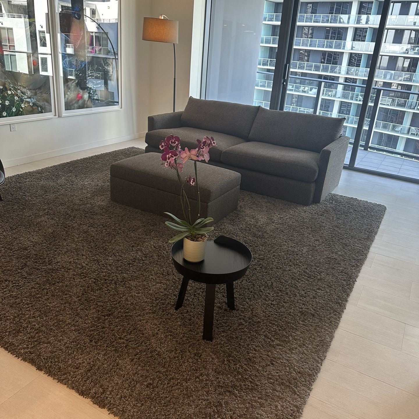 Living Room Set, Sofa, Ottoman, and Area Rug