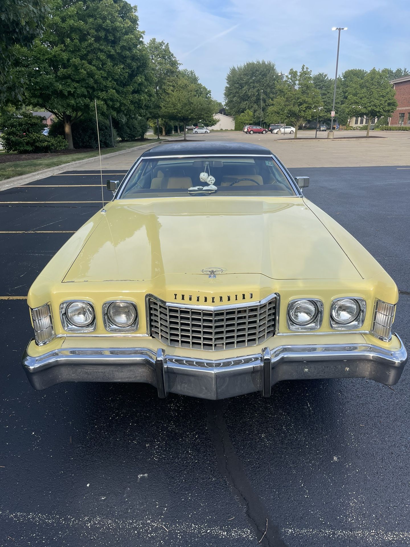 1973 Ford Thunderbird