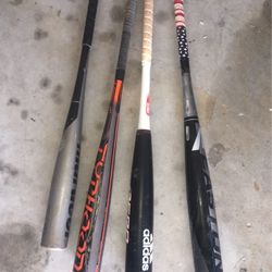bats 