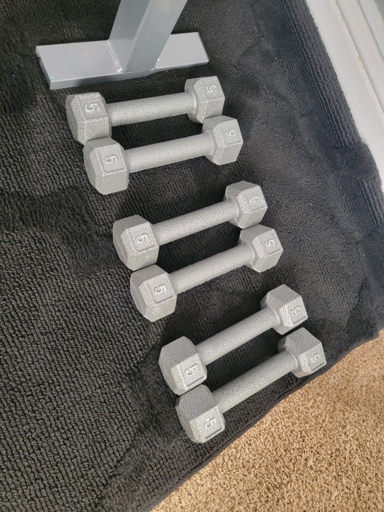 6 5 Pound Dumbells