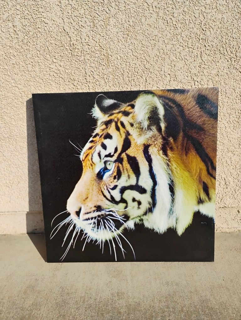 Tiger Wall Art Canvas